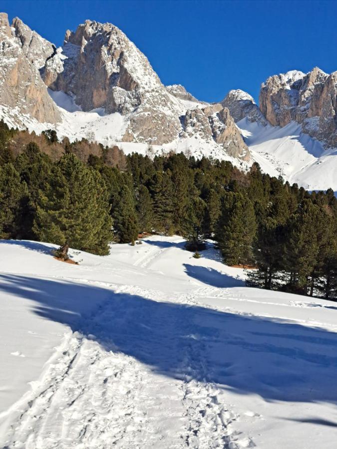 Residence Casa Metz Santa Cristina Val Gardena Экстерьер фото